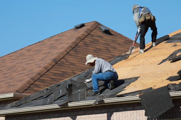 Best Roof Maintenance and Cleaning  in Lake St Croix Beach, MN